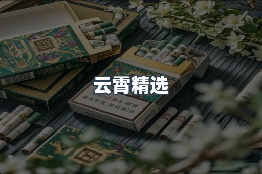 云霄香烟批发